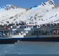 Portage Glacier Cruise and Wildlife Explorer Tour - Accommodation Houston