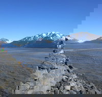 Wildlife and Glaciers with a walk in the Rainforest - Accommodation Houston