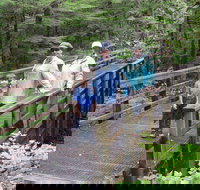 2 Hour Alaska Rainforest Walk and Totem Park Small Group Tour - Accommodation Houston