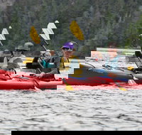 Ketchikan Shore Excursion Eagle Island Sea Kayaking - Accommodation Houston