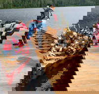 Ketchikan Rainforest Canoe and Nature Walk - Accommodation Houston