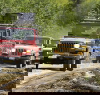 Ketchikan Jeep and Canoe Safari - Accommodation Houston