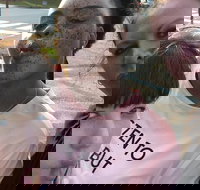 Scavenger Hunt Adventure in Pittsburgh by Crazy Dash - Accommodation Houston