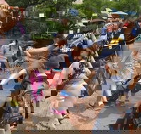 Fun City Scavenger Hunt in Raleigh by Wacky Walks - Accommodation Houston