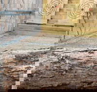 Axe Throwing Training - Accommodation Houston