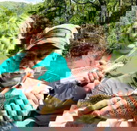 Full Day Float Trip - Accommodation Houston