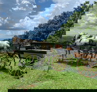 Horse and Carriage Ride through Moses H. Cone Park - Accommodation Houston