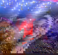 Private Pedicab Karaoke Cruising in Downtown Raleigh - Accommodation Houston