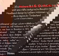 Rock and Roll Hall of Fame Admission in Cleveland - Accommodation Houston