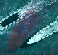 Private Hilton Head Sunset Boat Cruise Up to 14 Passengers - Accommodation Houston