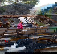 Jeep Bison Safari - Custer State Park - Accommodation Houston