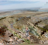 Private - Group Tour Devils Tower - Accommodation Houston