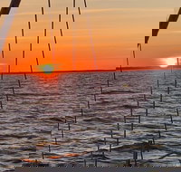 Private Hilton Head Sunset Sailing Tour with Dolphin Watching - Accommodation Houston