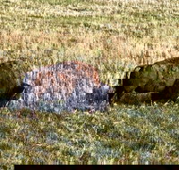 Private Tour - Badlands Delta 9 Missile Museum  Wall Drug - Accommodation Houston