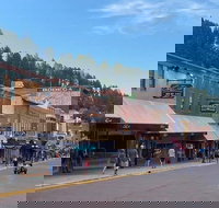 Private VIP Mt. Rushmore Deadwood and Devils Tower Day Tour - Accommodation Houston