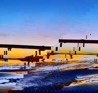 90 Minute Hilton Head Dolphin Tour - Accommodation Houston