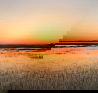 Private Hilton Head Sunset Dolphin Tour - Accommodation Houston