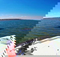 Private Hilton Head Dolphin Watching Tour with Waterfront Dining Stops - Accommodation Houston