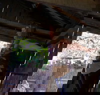 Cosmos Mystery Area Admission - Accommodation Houston