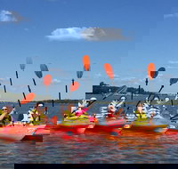 2-Hour Guided Kayak Nature Tour of Hilton Head - Accommodation Houston