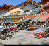 Small-Group Family-Friendly Private Cycling Sightseeing Tour - Accommodation Houston