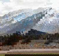 Mountain View E-Bike Experience - Accommodation Houston