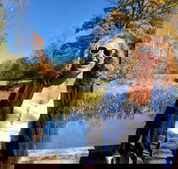 Scenic Guided Motorcycle Tours by MotoPlaN8 Handlebars - Accommodation Houston