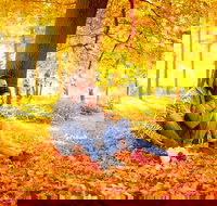 Adirondacks Full Day Boutique Private Tour - Accommodation Houston