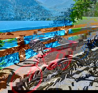 Electric Bike Rentals - Accommodation Houston