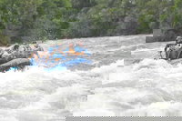 Allen Wa Accommodation Houston