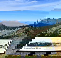 Hurricane Ridge Guided Tour in Olympic National Park - Accommodation Houston