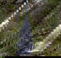 Lake Crescent and Marymere Falls Guided Tour in Olympic National Park - Accommodation Houston