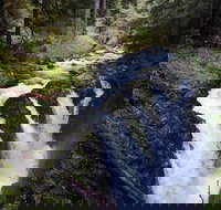 Sol Duc Falls Guided Tour in Olympic National Park - Accommodation Houston