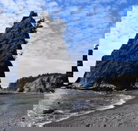 Hoh Rain Forest and Rialto Beach Guided Tour in Olympic National Park - Accommodation Houston