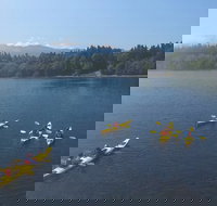 Half-Day Sea Kayaking Trip Near Olympic National Park - Accommodation Houston