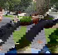 Fun City Scavenger Hunt in Madison by Wacky Walks - Accommodation Houston