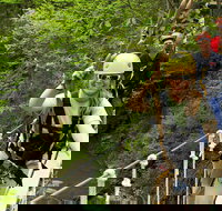 New River Gorge Zip Line Canopy Tour - Accommodation Houston