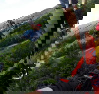 New River Gorge Zip Lining - Accommodation Houston