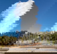 Full-Day Private Safari of Yellowstone - Accommodation Houston