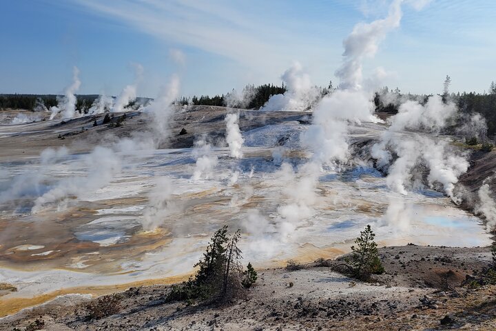 Yellowstone Lower Loop Private Day Tour - thumb 5