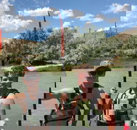 Surfin In The Rockies Duckie Tours - Accommodation Houston