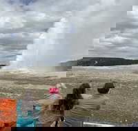 Yellowstone Open Air Tours by Cody Wyoming Adventures - Accommodation Houston