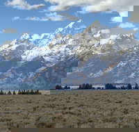 Grand Loop Yellowstone Wildlife and Photo Tour - Accommodation Houston