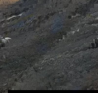 Yellowstones Upper Loop Tour smaller group sizes for better tour experience - Accommodation Houston