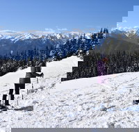 Hurricane Ridge Guided Snowshoe Tour in Olympic National Park - Accommodation Houston