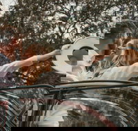 Private Historic Savannah Tour in a Vintage Citron - Accommodation Houston