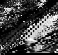 Genteel and Bard's Savannah Dark History and Ghost Walking Tour - Accommodation Houston