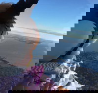 Platinum Package - Helicopter Tour with Dinner at Ruth's Chris or Capital Grille - Accommodation Houston