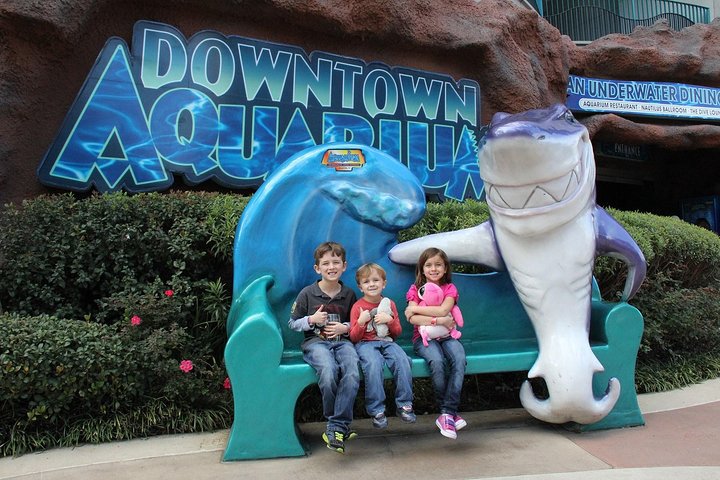 Houston Adventure Combo: City Tour, Aquarium And Heritage Museum Admission - thumb 4