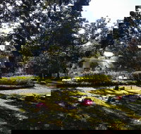 Yoga in Forsyth Park - Accommodation Houston